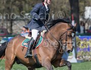 Bologni A Amerigo TosTour2013- S5 2553 : Amerigo, Arezzo, Arezzo Equestrian Centre, Bologni Arnaldo, Toscana Tour 2013, foto di Stefano Secchi ©